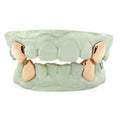 2 single teeth with back bar